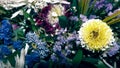 Chrysanthemums and colorful wildflowers