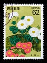 Chrysanthemums (detail of Cranes and Plants in Spring and Autumn