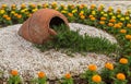 Chrysanthemums and pottery urn in ornamental garden Royalty Free Stock Photo