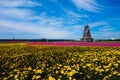 Chrysanthemum, windmill, sky Royalty Free Stock Photo