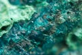 Chrysocolla is a hydrated copper cyclosilicate