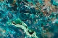 Chrysocolla is a hydrated copper cyclosilicate Royalty Free Stock Photo