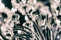 Chrystal chandelier Royalty Free Stock Photo