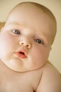 Chubby baby Royalty Free Stock Photo