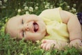 Chubby Laughing Baby Girl Laying Outside in Flower Meadow Royalty Free Stock Photo