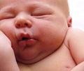 Chubby newborn infant