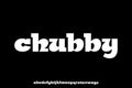 Chubby and playful slab serif display font vector