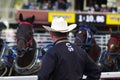 Chuckwagon races at 2013 Calgary Stampede Royalty Free Stock Photo