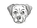 Chug Pughuahua, or Pugwawa Breed Cartoon Retro Drawing Royalty Free Stock Photo