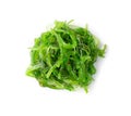 Chukka Seaweed Salad Isolated on White Background