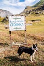 Dog standing in front of a roadside banner with an inscription in Russian: Tourist parking