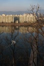 Chuncheon cityscape and panoramic view of Soyang River and buildings during winter evening at Chuncheon , South Korea : 11