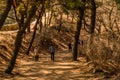 People hiking mountain trail