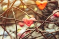 A chunk of a red heart shaped candle adheres to an old rusted steel rod.