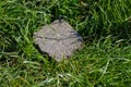 Chunk of Road asphalt laying in the grass