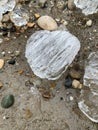 Chunks of ice on sandy beach with small pebbles Royalty Free Stock Photo