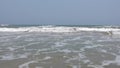 Indian Paradise Beach, Plage Paradiso, in Chunnambar, Tamil Nadu, India