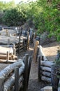 Trenches at Chunuk Bair near Anzac Cove, Gallipoli, Turkey Royalty Free Stock Photo