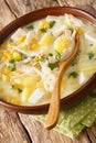 Chupe Andino is a traditional soup made from shredded chicken, cheese, vegetables and cream closeup in the plate. vertical Royalty Free Stock Photo