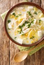 Chupe Andino is a traditional soup made from shredded chicken, cheese, vegetables and cream closeup in the plate. vertical top Royalty Free Stock Photo