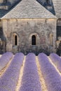 Church at Abbaye de Senanque, Provence, France