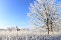 Church of All Saints behind frozen bush and trees Royalty Free Stock Photo