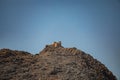 Church on Chalki island, Greece Royalty Free Stock Photo