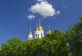 Church of Christ the Savior in Kaliningrad Royalty Free Stock Photo