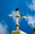 Church cross on the roof of the church with crows mysterious sign sign of strength Royalty Free Stock Photo