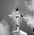 Church cross on the roof of the church with crows mysterious sign sign of strength Royalty Free Stock Photo