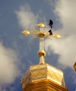 Church cross on the roof of the church with crows mysterious sign sign of strength Royalty Free Stock Photo