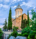 The church among the cypresses Royalty Free Stock Photo