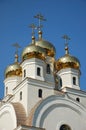 Church Domes