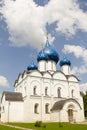 Church domes with blue star in Suzdal