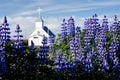 Church in a field of arctic fireweeds Royalty Free Stock Photo