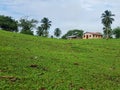 A church in the field yard Royalty Free Stock Photo