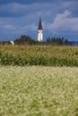 Church And Fields, Prekmurje, Slovenia Royalty Free Stock Photo