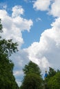 Church with golden domes and a cross from afar against a blue sky with white clouds and trees in the foreground Royalty Free Stock Photo