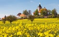 Church and golden rapeseed field