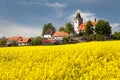 Church and golden rapeseed field (brassica napus)