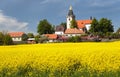 Church and golden rapeseed field (brassica napus)