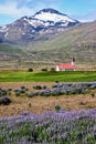 A church in Iceland Royalty Free Stock Photo