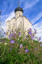 Church of the Intercession of the Holy Virgin on the Nerl River on the bright summer day. Royalty Free Stock Photo