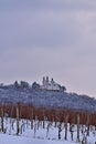 Leopoldsberg covered in snow, vertical Royalty Free Stock Photo