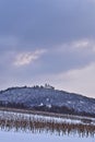 Leopoldsberg covered in snow, vertical Royalty Free Stock Photo
