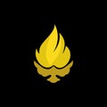 Church logo. Christian symbols. The Dove and the Flame of the Holy Spirit, the Kingdom of God. Royalty Free Stock Photo