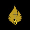 Church logo. Christian symbols. The Dove and the Flame of the Holy Spirit, the Kingdom of God. Royalty Free Stock Photo