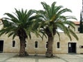 Church of the Multiplication of the Loaves and Fish in Tabgha, Israel Royalty Free Stock Photo