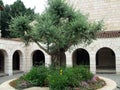 Church of the Multiplication, Tabgha, Israel Royalty Free Stock Photo