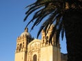 Church and palm tree - Oaxaca - Mexico Royalty Free Stock Photo